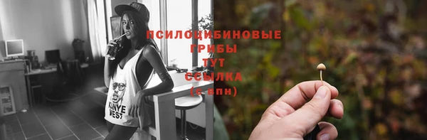 СК Сатка
