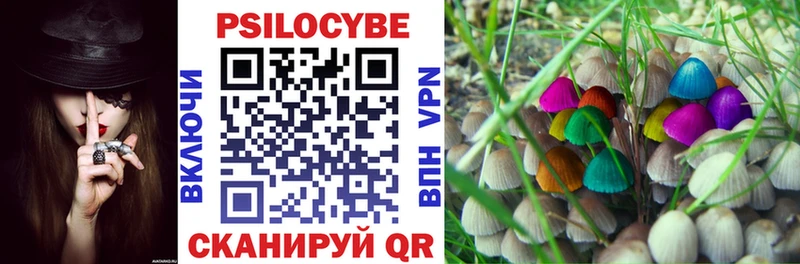 купить закладку  Севск  Галлюциногенные грибы Magic Shrooms 